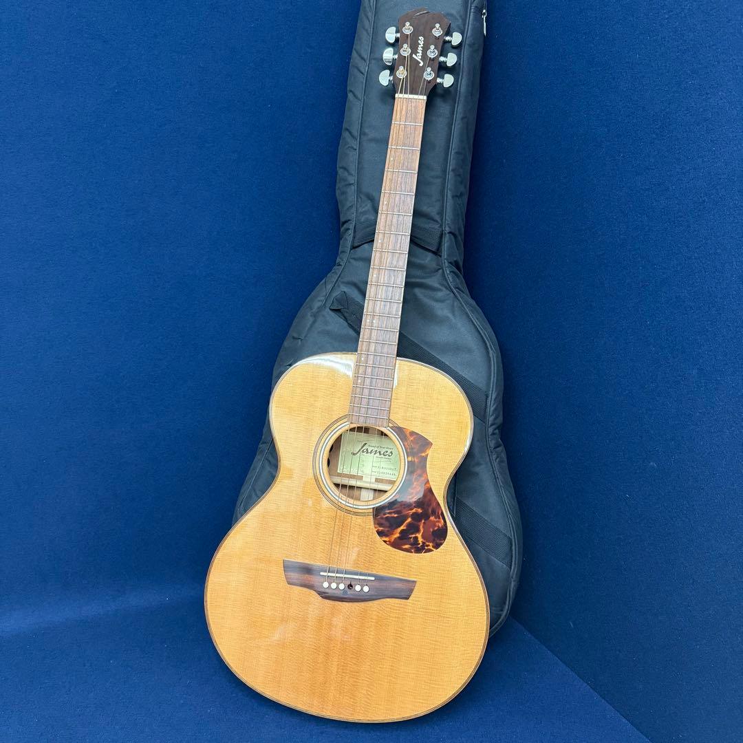 James ジェームス J-800ANAT アコースティックギター ソフトケース