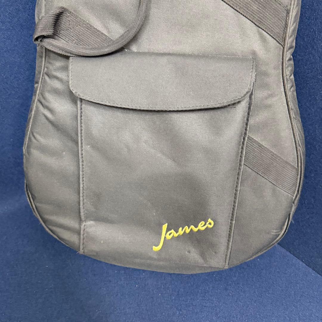James ジェームス J-800ANAT アコースティックギター ソフトケース