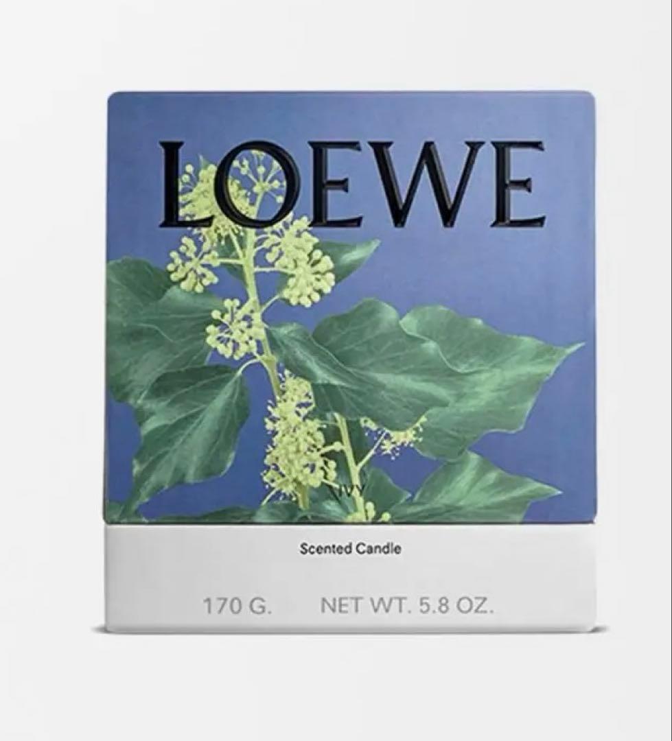 LOEWE アイビーキャンドル スモール　未使用