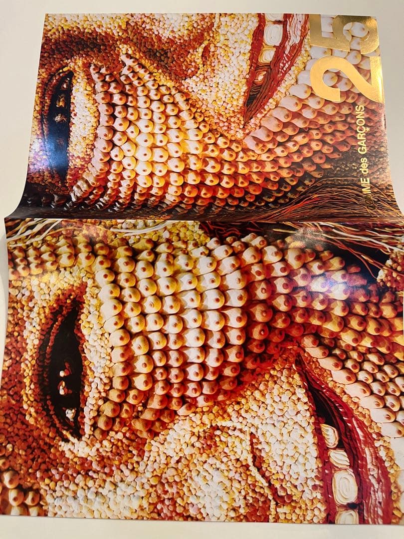 COMME des GARÇONS 非売品　アート冊子　SIX purple ②