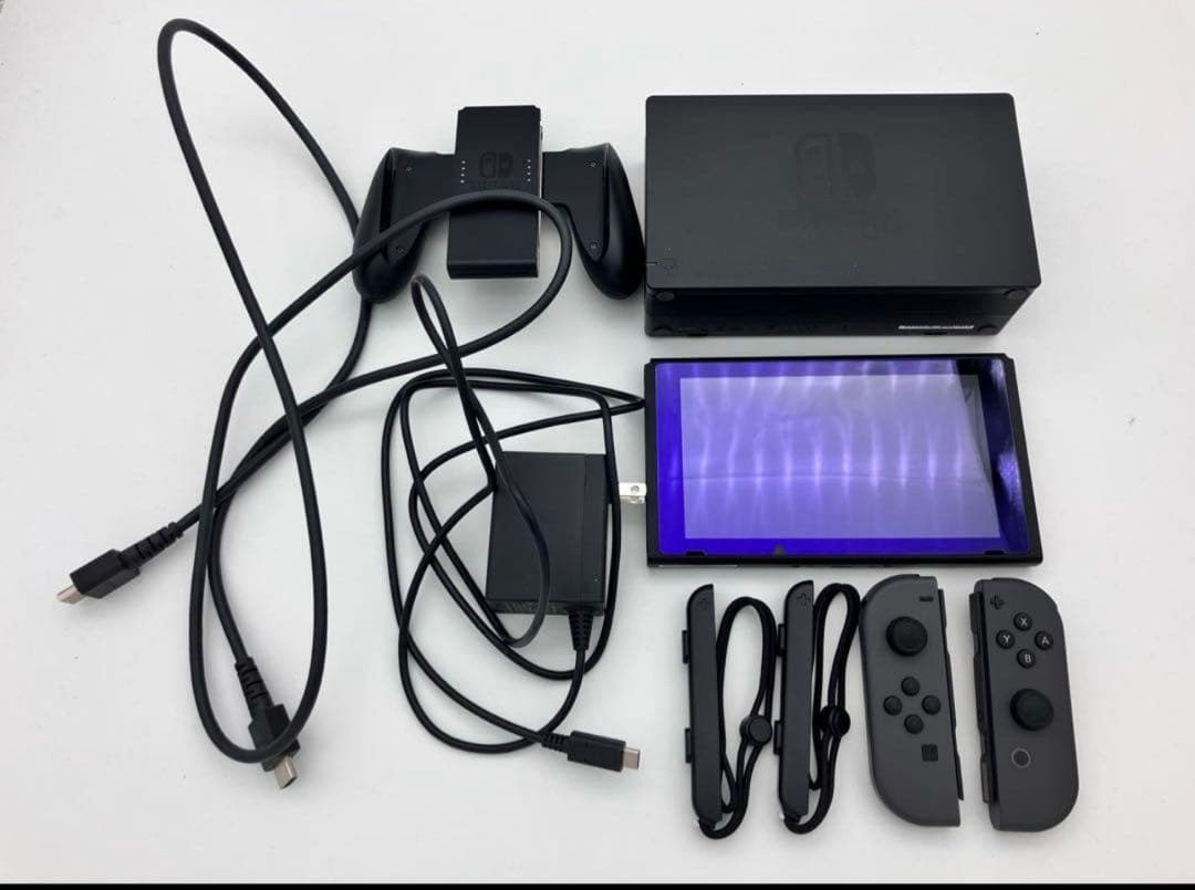 Nintendo Switch 本体 グレー 完全セット　カバー付き