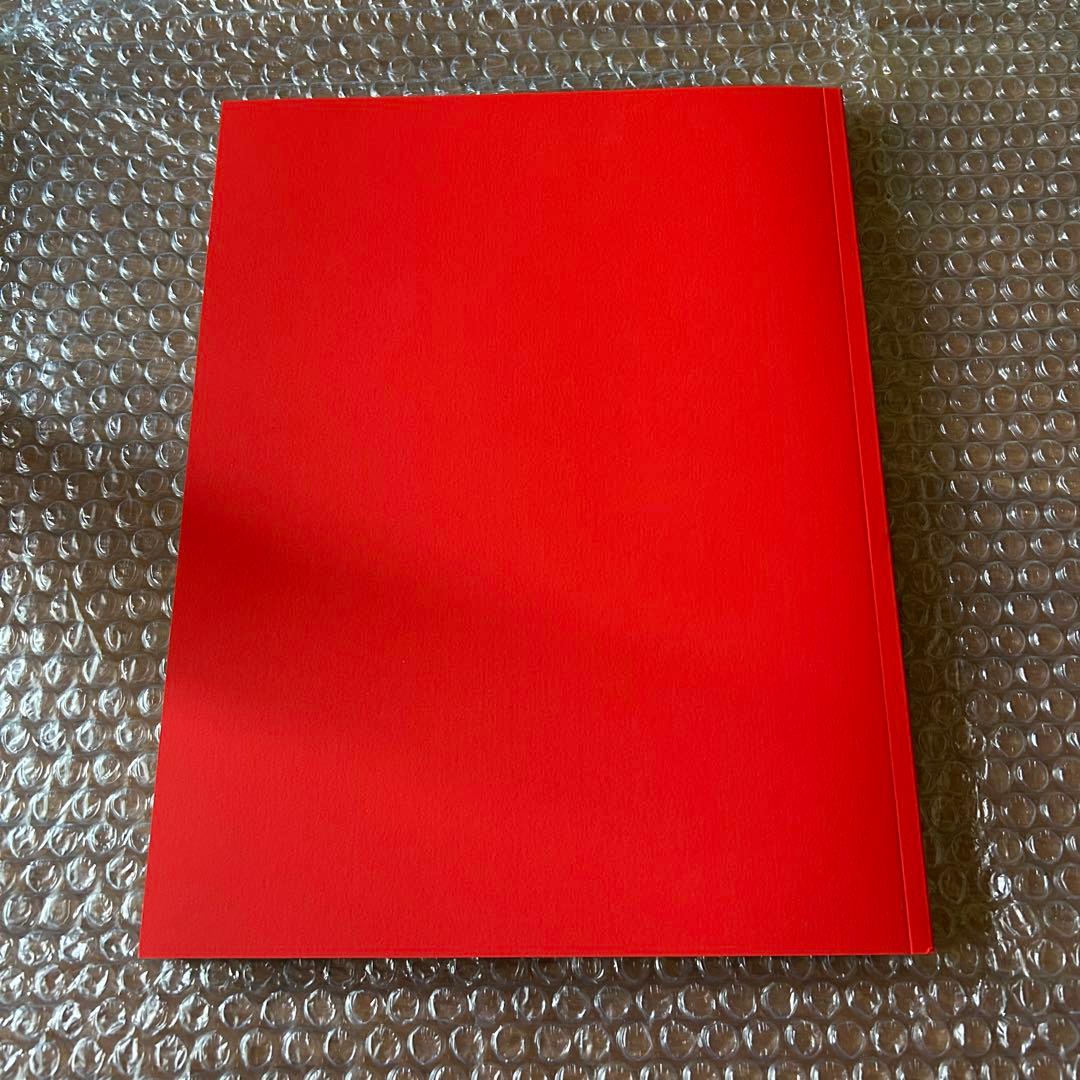 極美品　リアルヘッド 真頭玩具写真　REAL HEAD ソフビ写真集　本