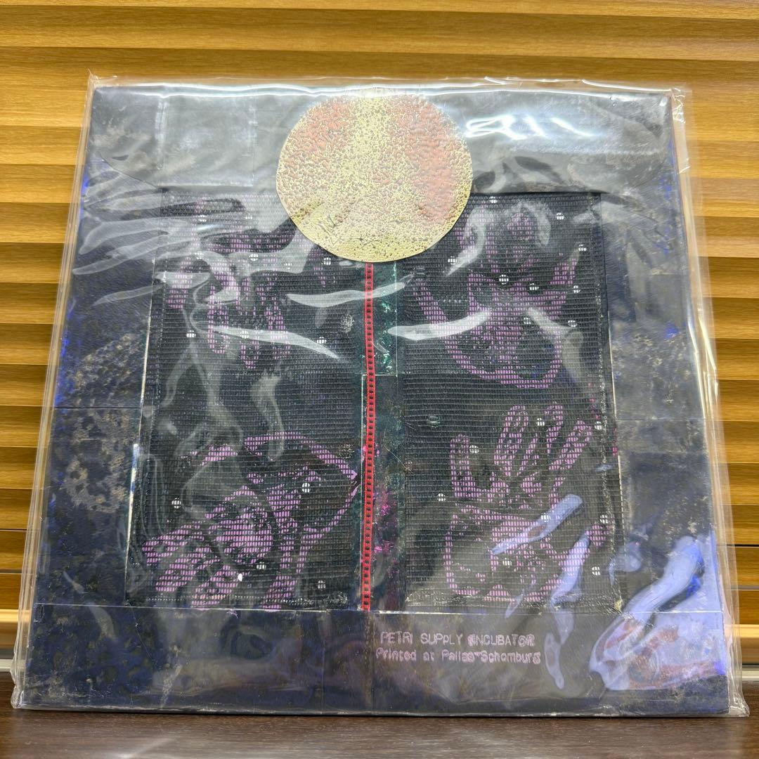 Hands To「Flatline」LP2枚組ハンドメイドジャケット NOISE