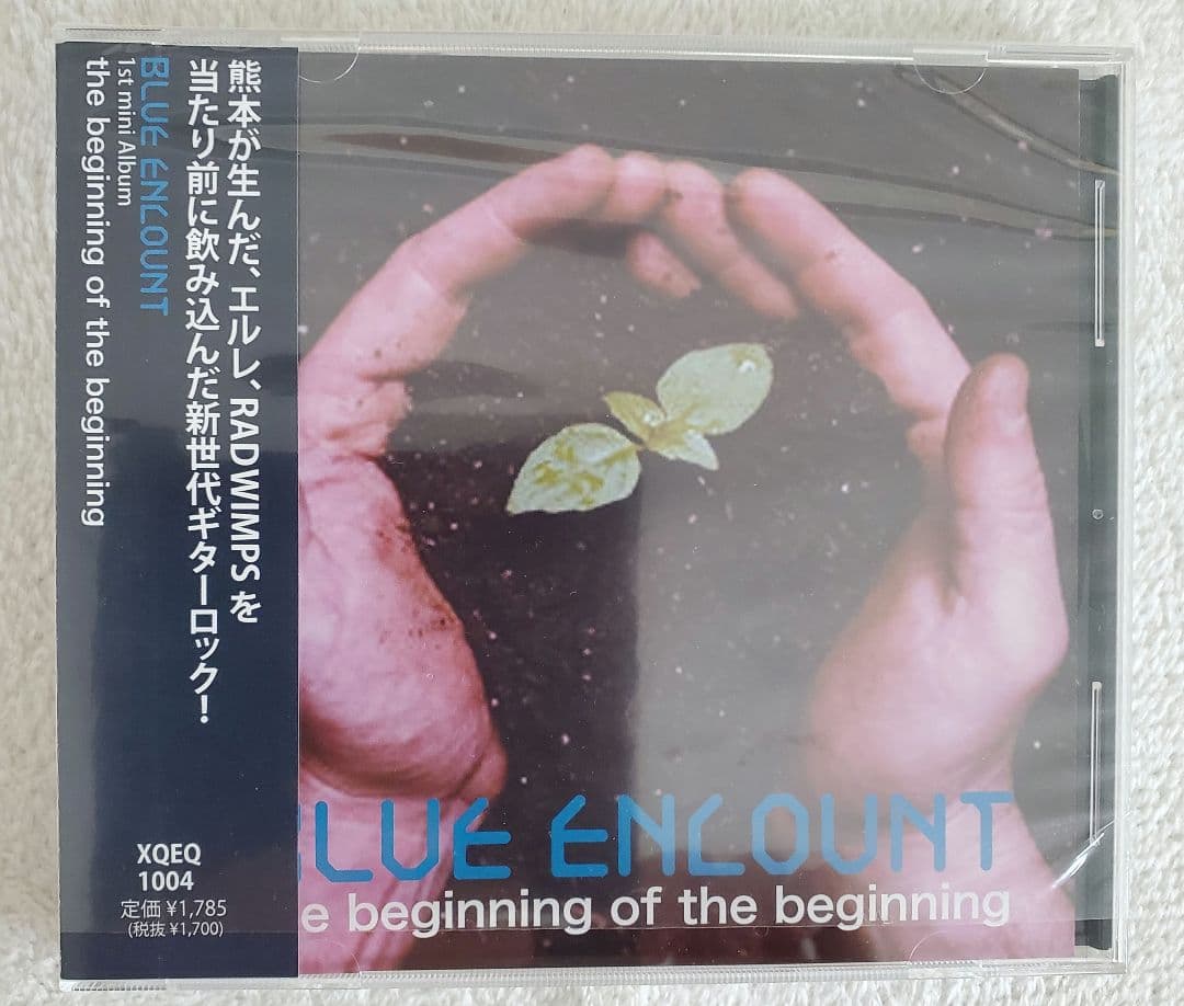 BLUE ENCOUNT　the beginning インディーズ　廃盤CDレア