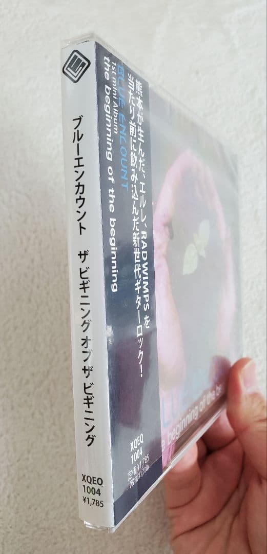 BLUE ENCOUNT　the beginning インディーズ　廃盤CDレア
