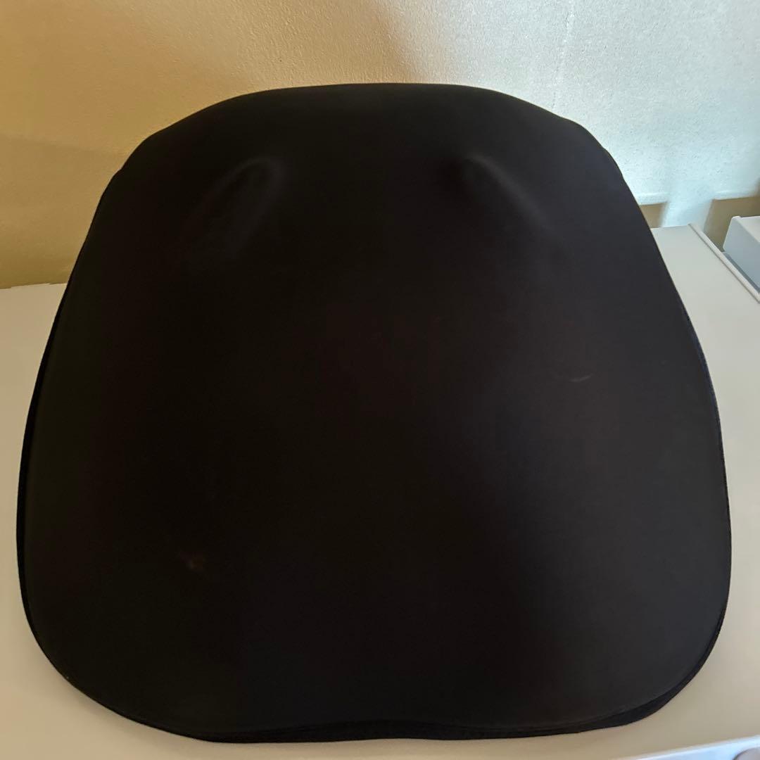 Style SMART スタイルスマート ブラック YS-AK03A