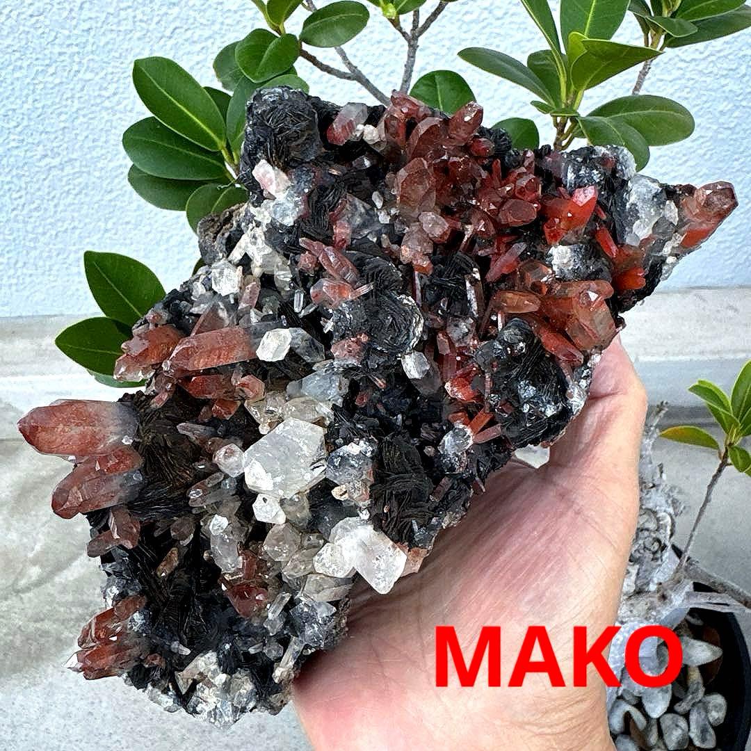 M1794☆アイアンローズ共生赤水晶クラスター1.7Kg☆広東省産☆N20720