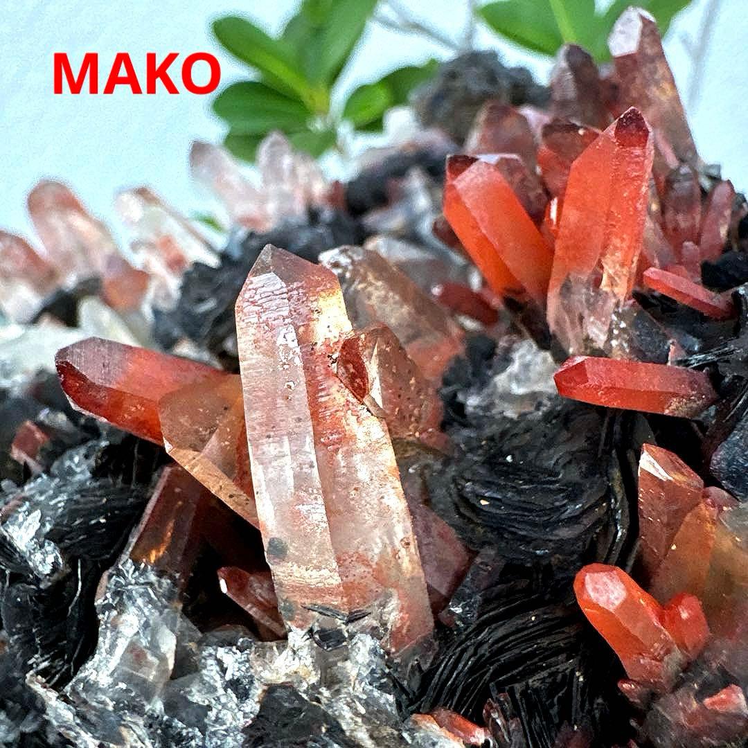 M1794☆アイアンローズ共生赤水晶クラスター1.7Kg☆広東省産☆N20720