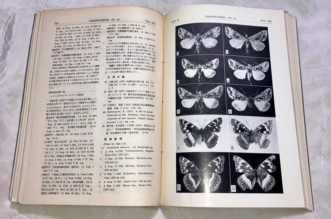 日本鱗翅目同好会 会報1967年～1974年ファイリング 研究者用 調査資料