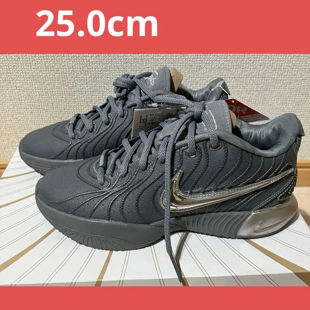 【新品】NIKE ナイキ　レブロン21EP 25cm