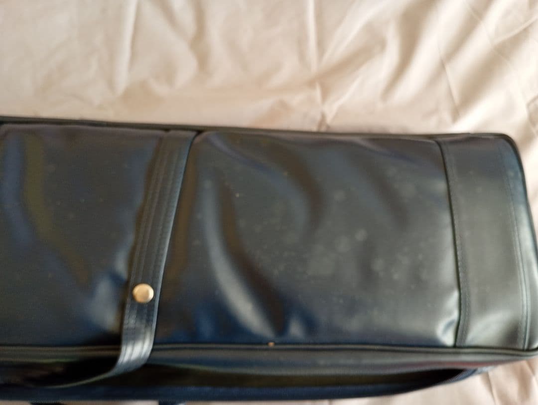 文化筝 ソフトケース付き　新品未使用