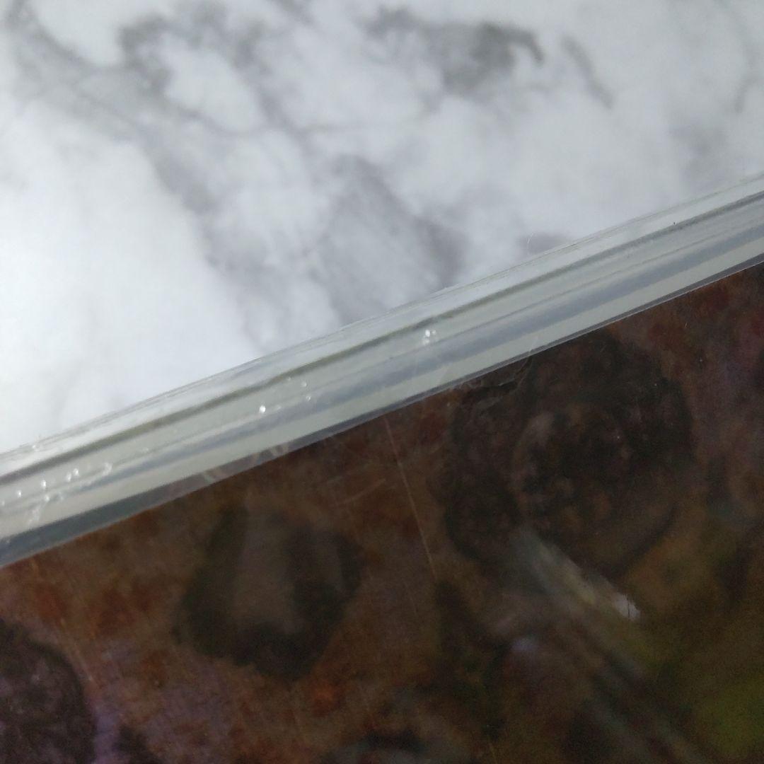 貴重！Dディー★ライヴDVDなど★中古品 ASAGI Ruiza V系