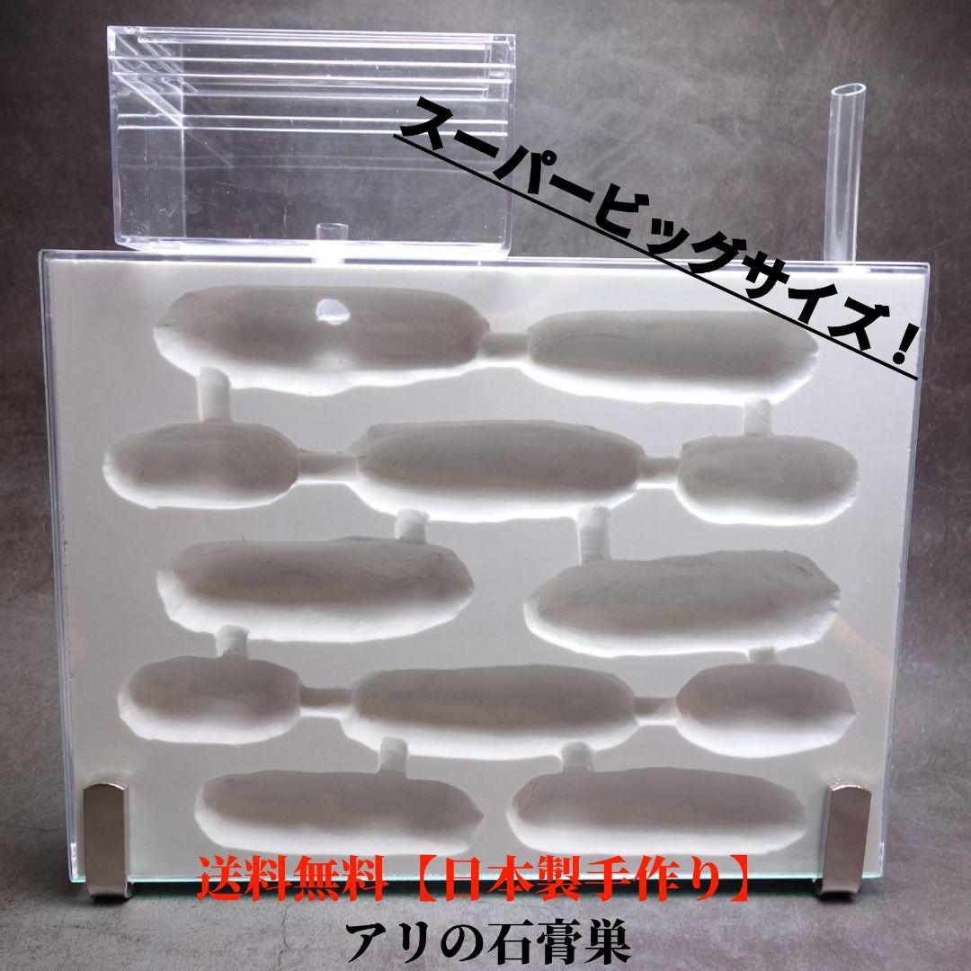★送料無料★スーパービッグ　アリの巣　蟻の巣　石膏　付属品多数！