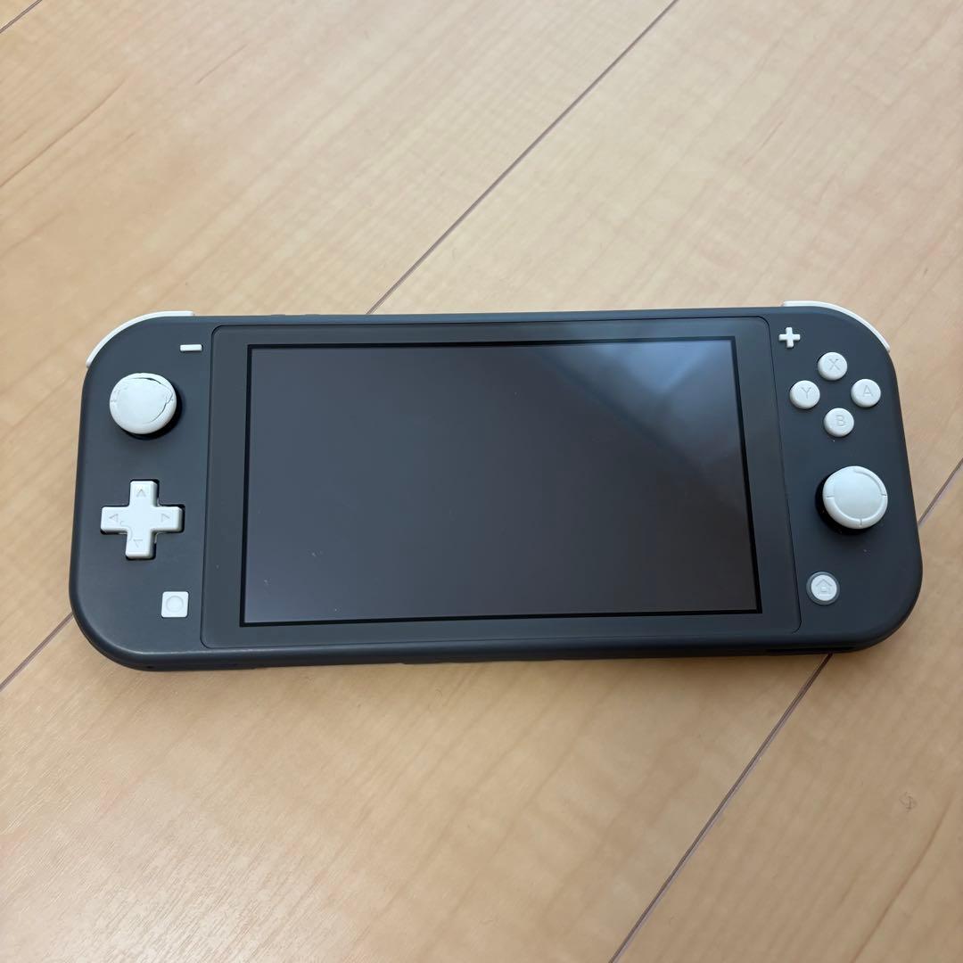動作確認　Nintendo Switch Lite グレー本体　ACアダプター付