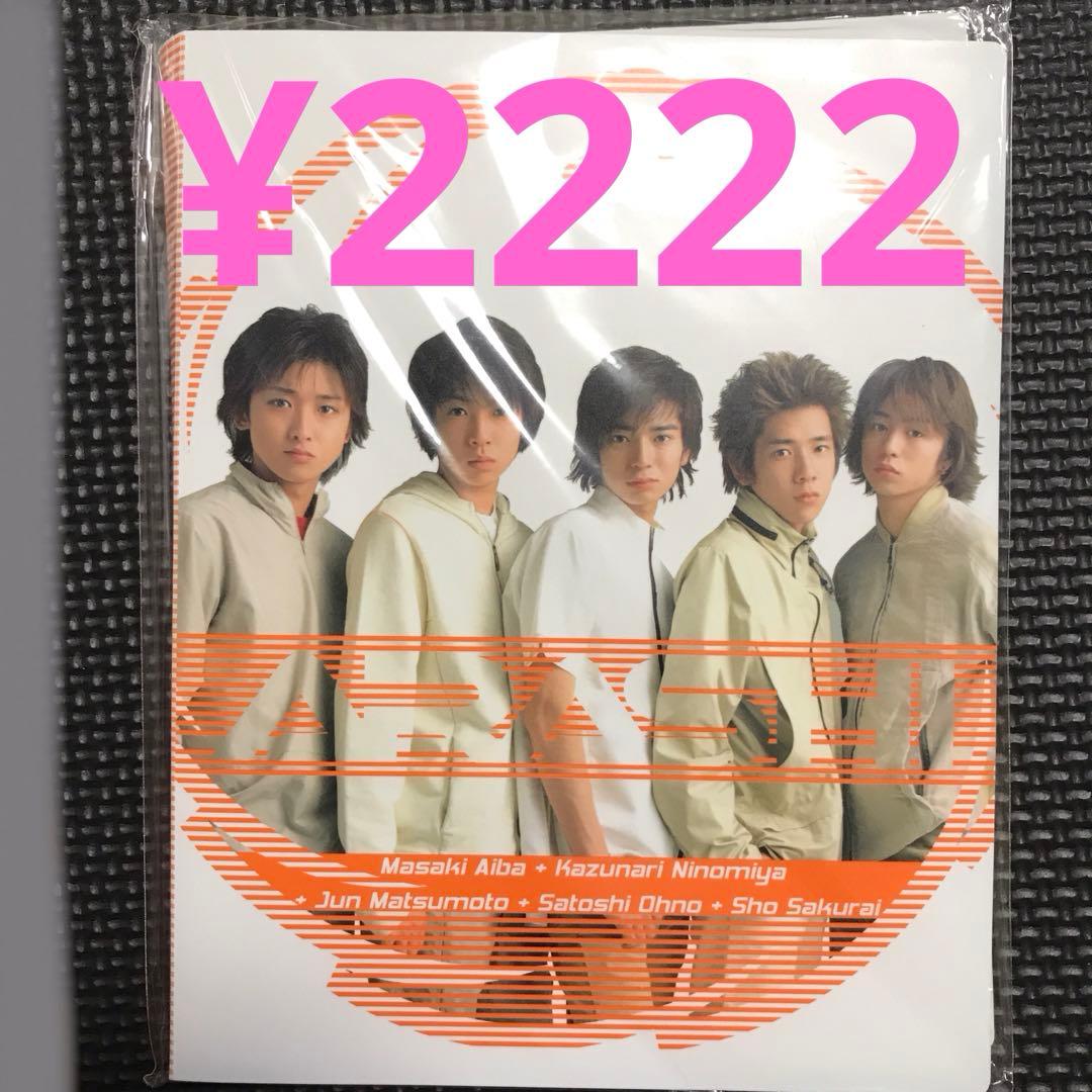 ❤️ネル様❤️嵐 フェス'13 DVD 2枚組 初回プレス仕様