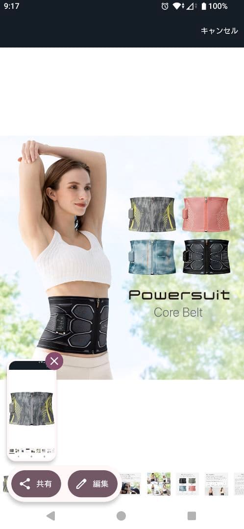 Powersuit Core Belt グレー/イエロー フリーサイズ