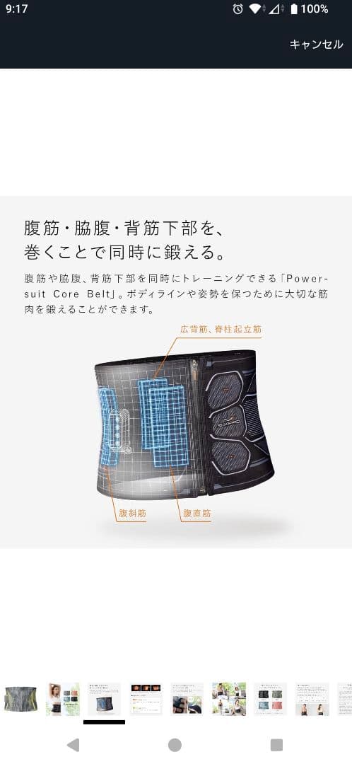 Powersuit Core Belt グレー/イエロー フリーサイズ