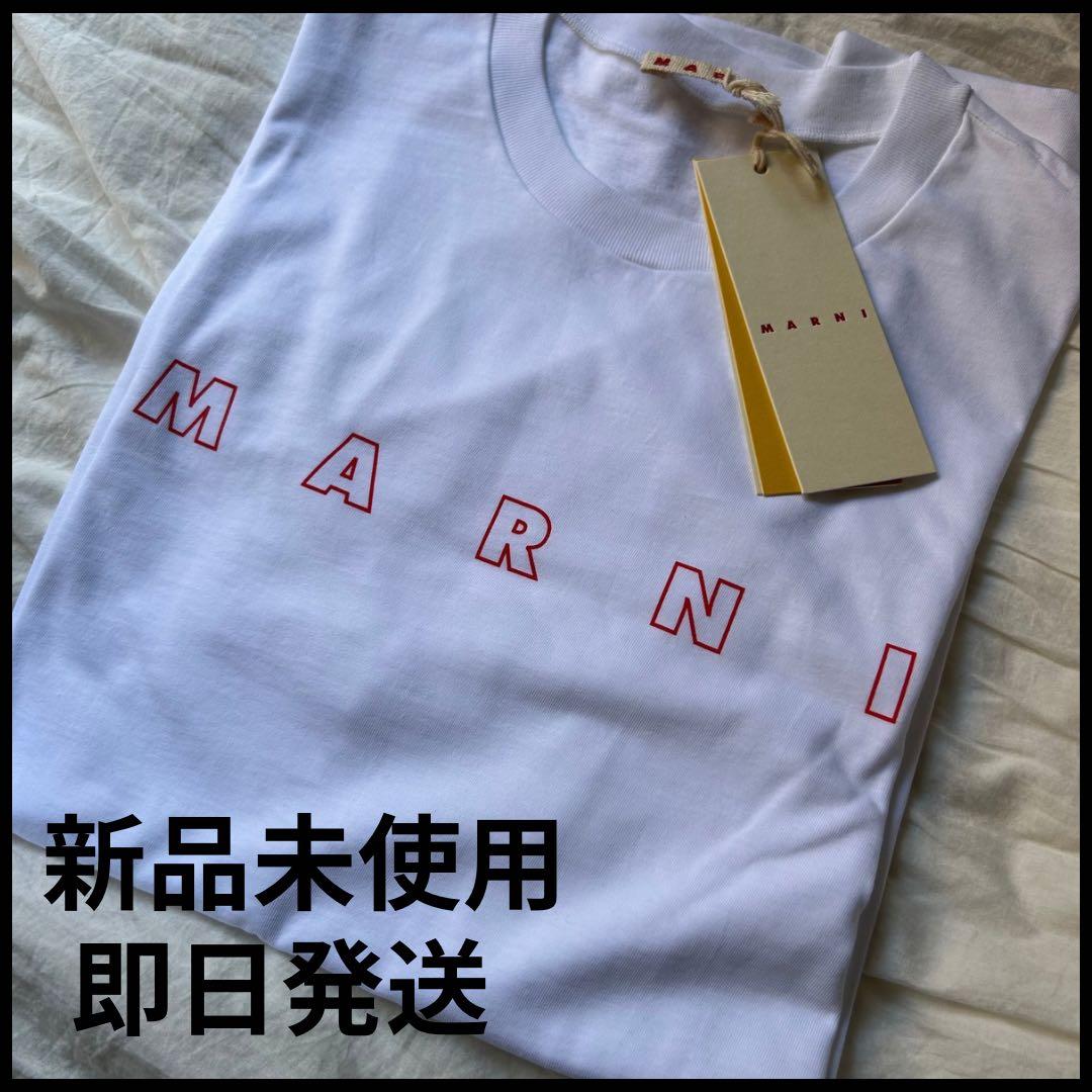 ★新品未使用★MARNIＴシャツ 半袖 大人もOK ホワイト 14Yサイズ