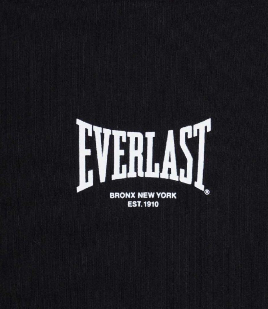 EVERLAST TATSUYOSHI BEDWIN SWET 辰吉 ボクシング