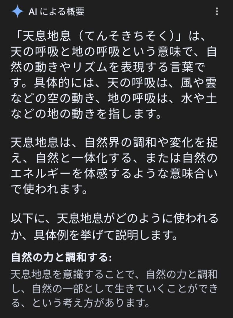 世界救世教岡田茂吉教祖 掛軸 書「天息地息」不勉強な為格安