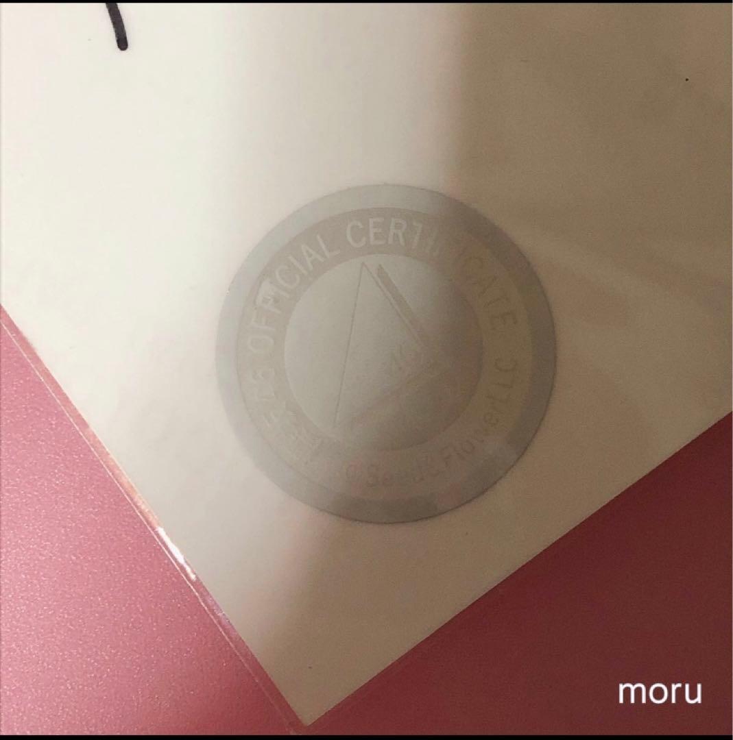 櫻坂46 向井純葉　直筆 生写真 Start over!ジャケット写真衣装 ひき