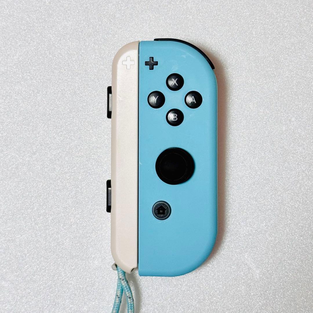 Nintendo Switch あつまれ どうぶつの森セット 本体保護ケース付