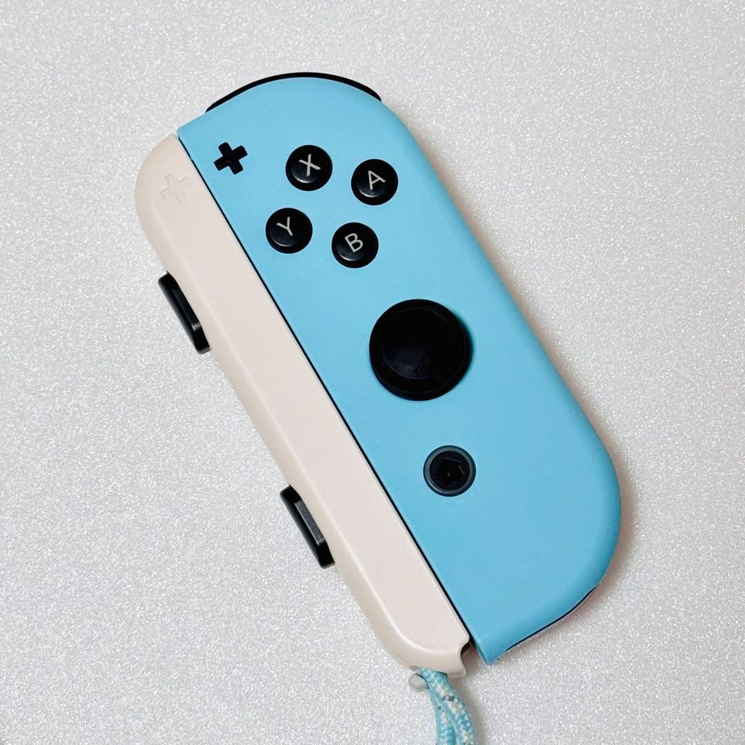 Nintendo Switch あつまれ どうぶつの森セット 本体保護ケース付