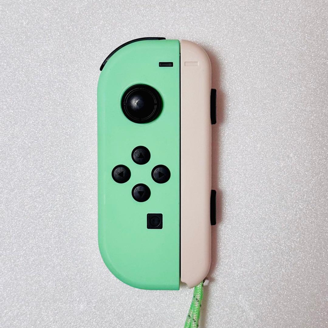 Nintendo Switch あつまれ どうぶつの森セット 本体保護ケース付