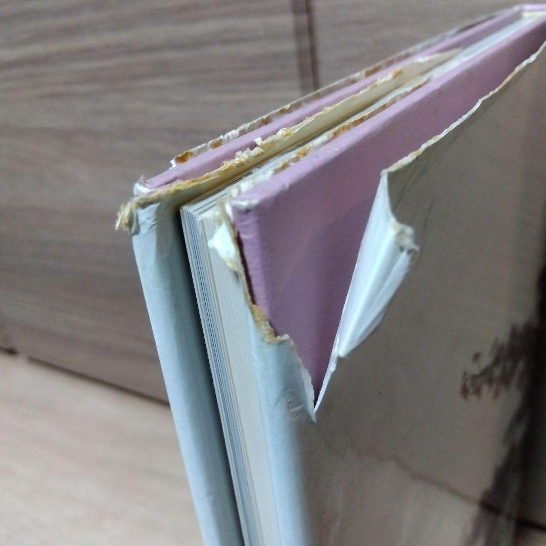 「花の彩事季 染花」 大平栄子　sts