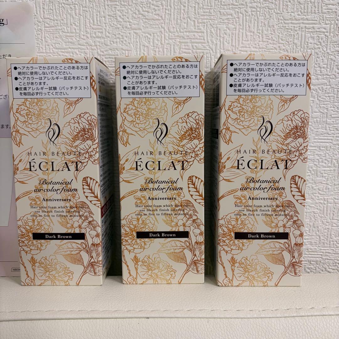 ⭐︎⭐︎限定パッケージ⭐︎⭐︎ ヘアボーテ エクラ　ボタニカル エアカラーフォームEX