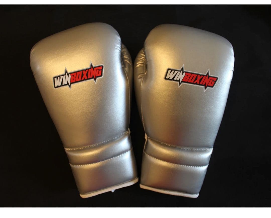 m*o様 WINBOXING ボクシンググローブ 12 oz シルバー