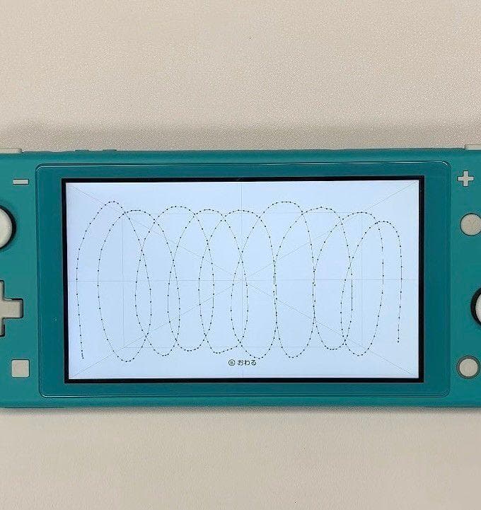 Nintendo Switch Lite 本体 動作品 2019 おまけ付き