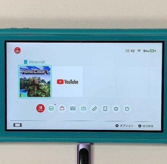 Nintendo Switch Lite 本体 動作品 2019 おまけ付き