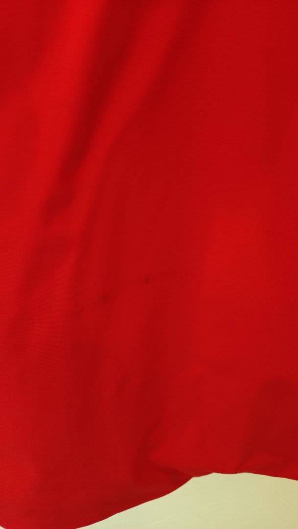 【お値下げ中】　ゴールドウィン　S　 レッド　 スキーウェア メンズ