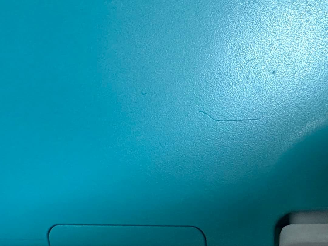 【美品】Nintendo Switch Lite ターコイズ +おまけ付き✨