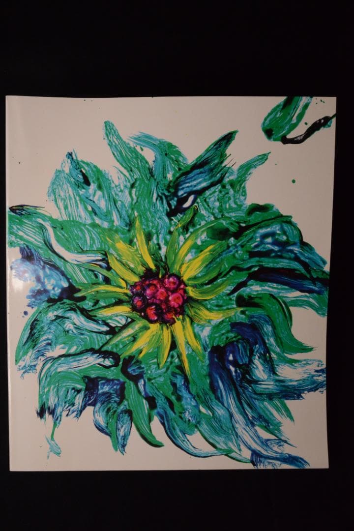 【流石 / RYU U SE KI - HYSTERIC No.10】荒木経惟