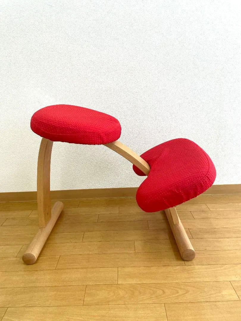 サカモトハウス 　バランスチェア イージー　リボ社