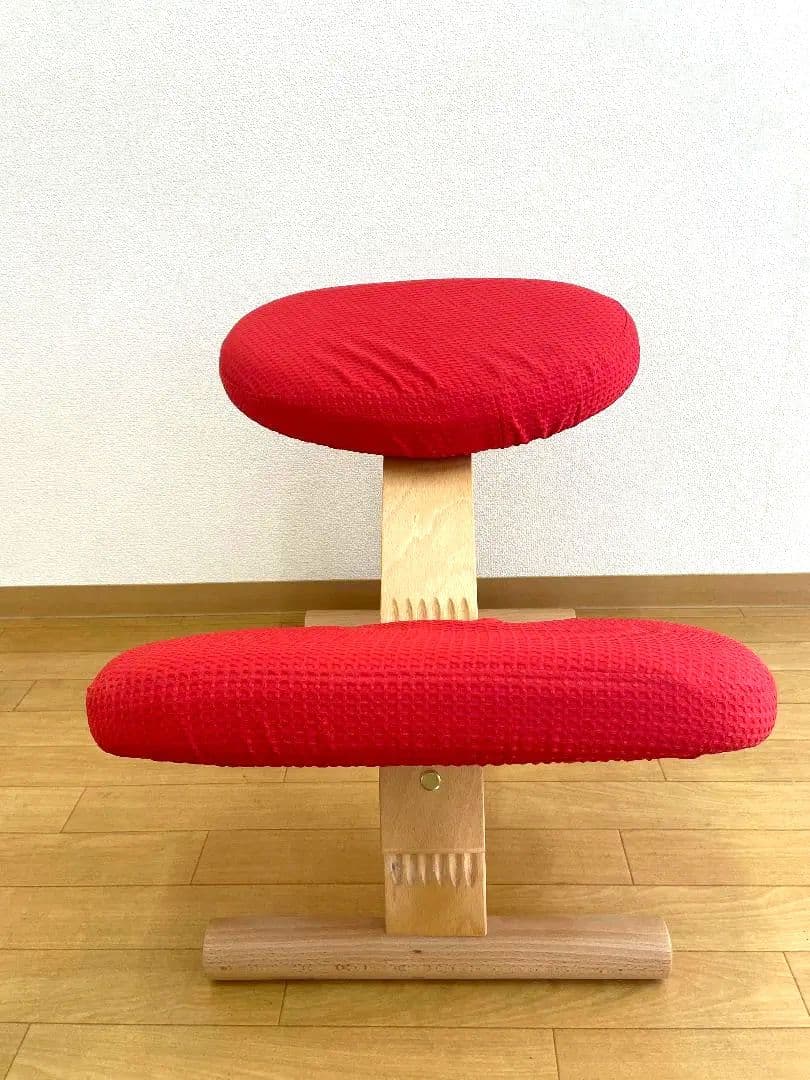 サカモトハウス 　バランスチェア イージー　リボ社