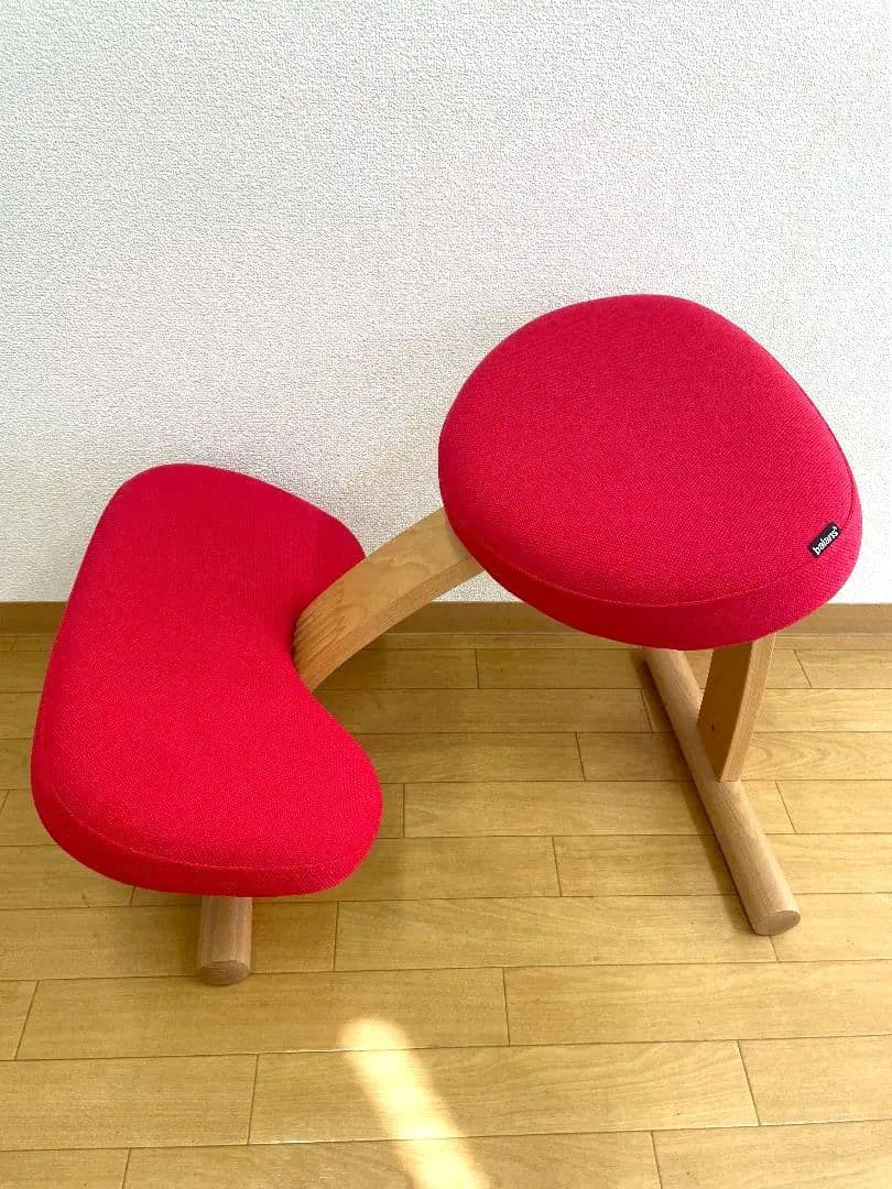 サカモトハウス 　バランスチェア イージー　リボ社