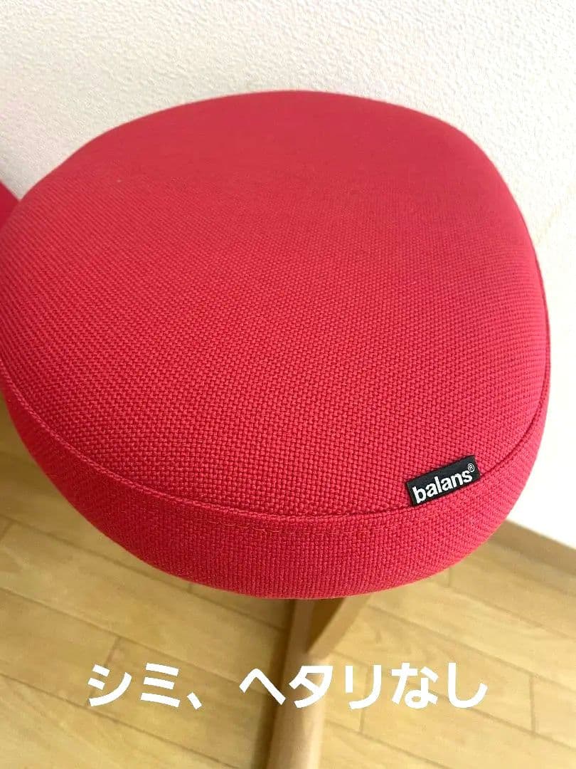 サカモトハウス 　バランスチェア イージー　リボ社