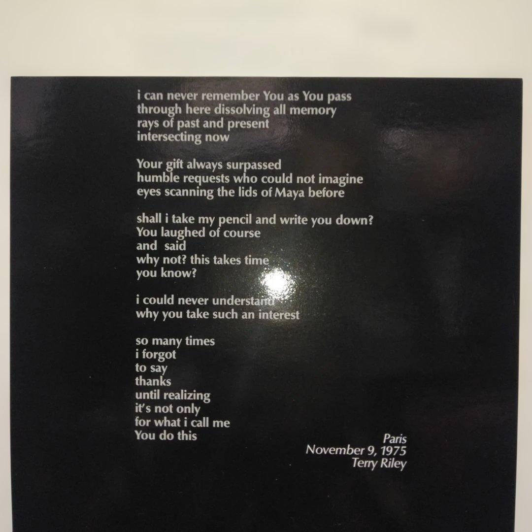 ['82年EU盤LP] テリーライリーDescending Moonshine…