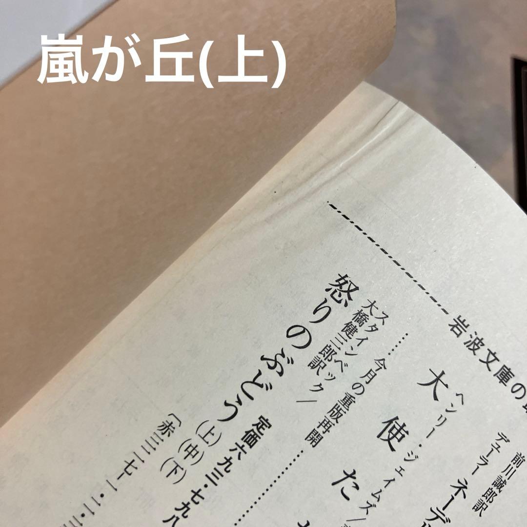 岩波文庫　赤帯　青帯　白帯　緑帯　22冊まとめ売り　文庫本