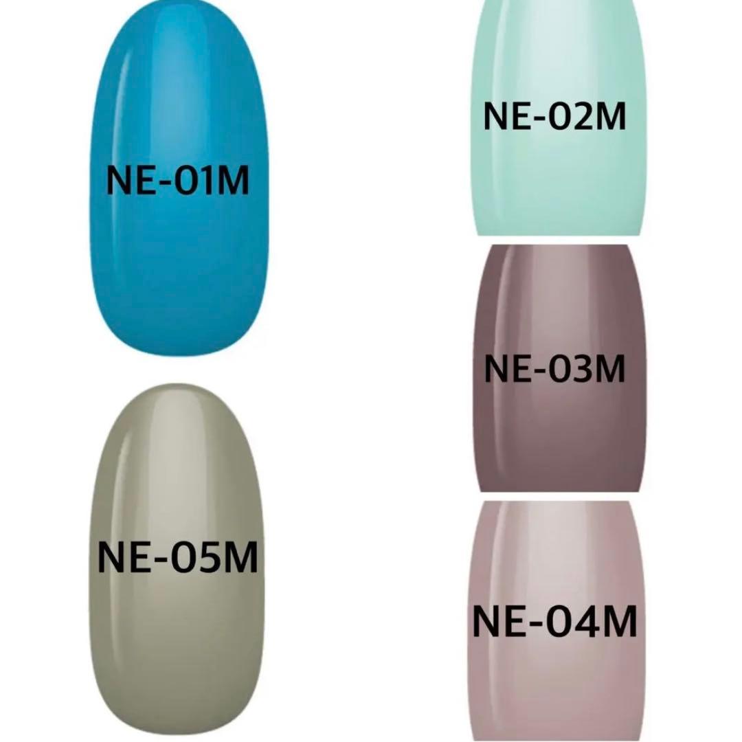 INITY ジェルネイルカラーセット 10色 NaturalEarth 39