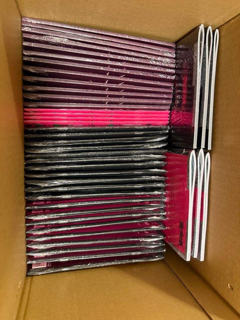 stray kids 樂-STAR アルバム 新品未開封 55枚