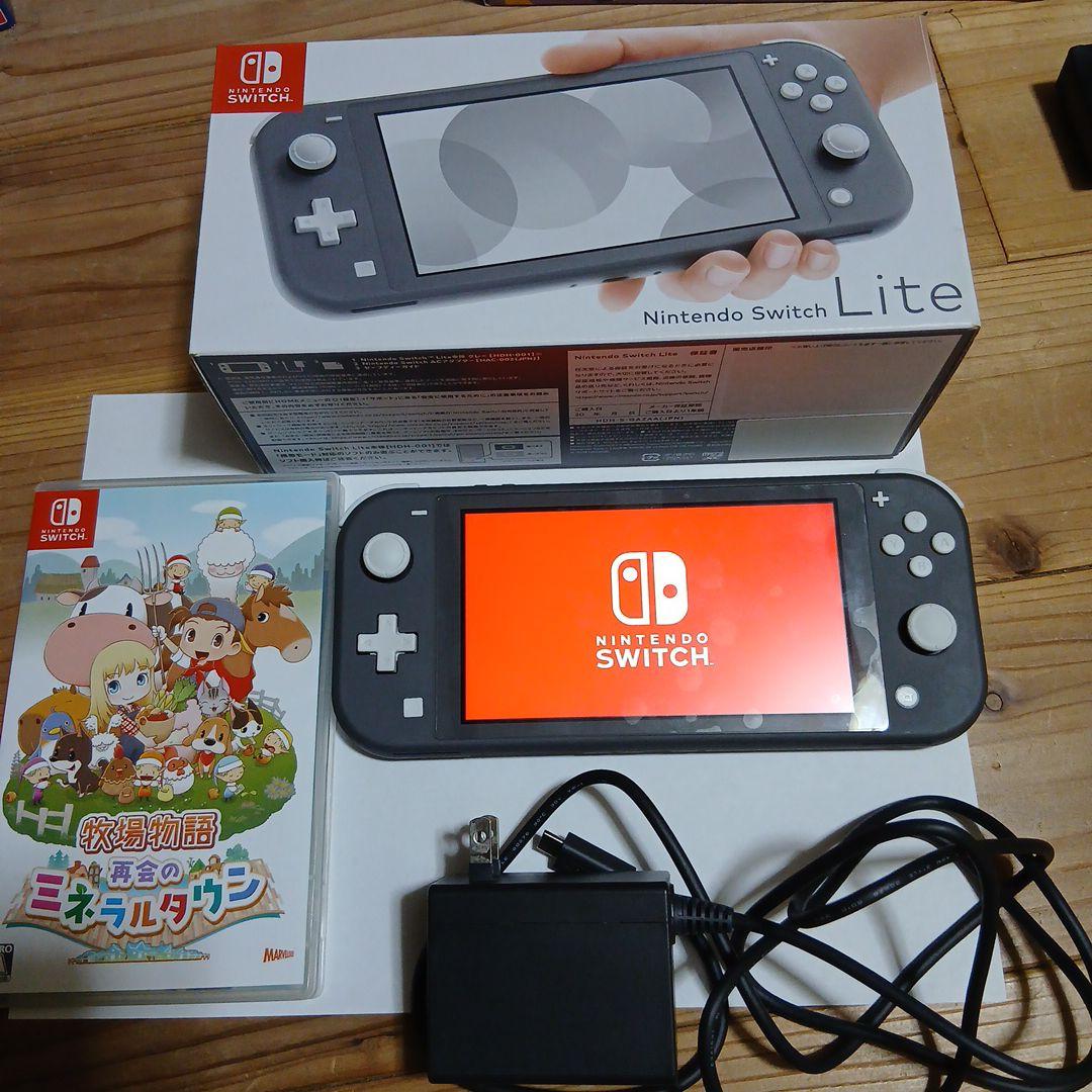 Nintendo Switch Lite グレー 充電器　美品　ソフト付き！