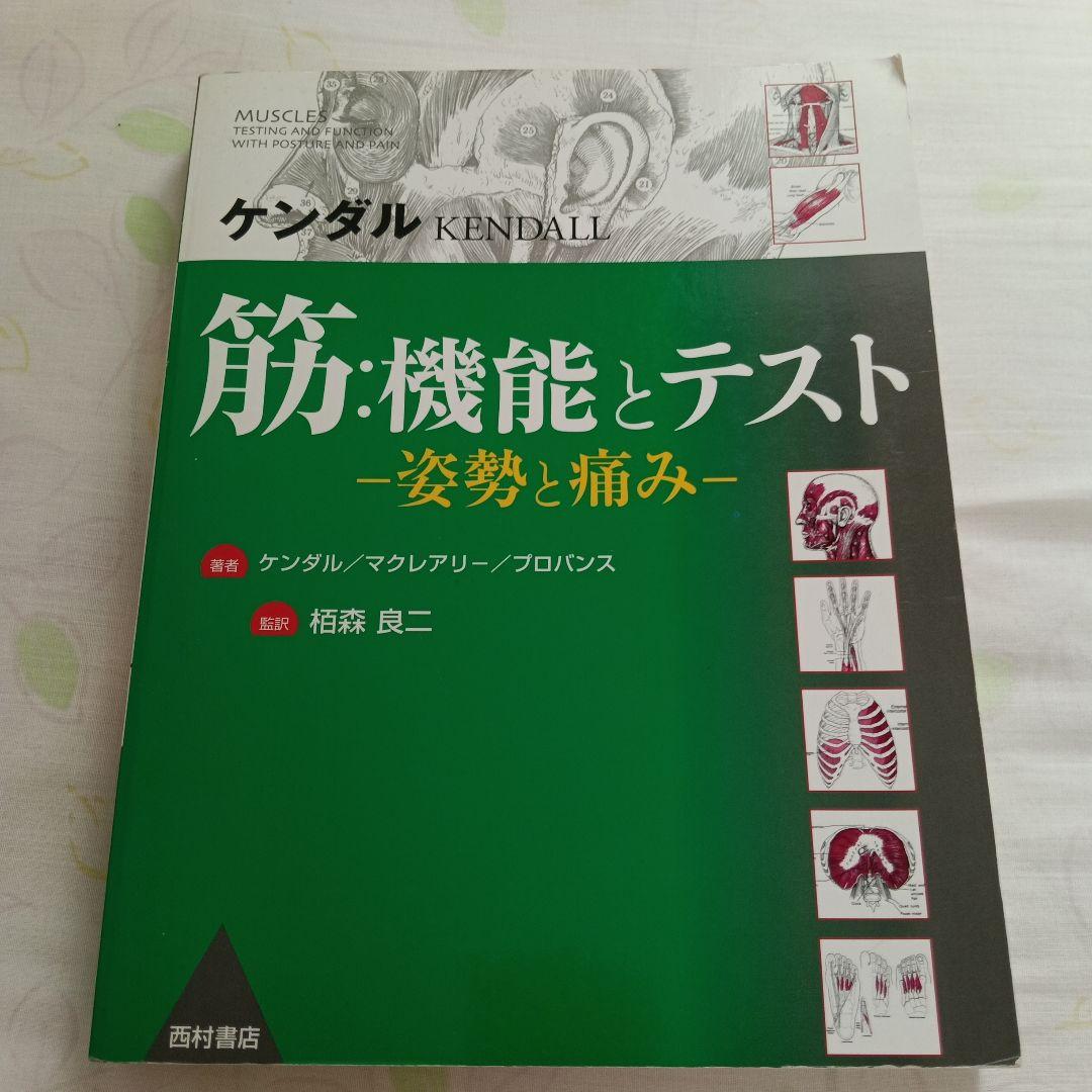 ケンダル 筋:機能とテスト