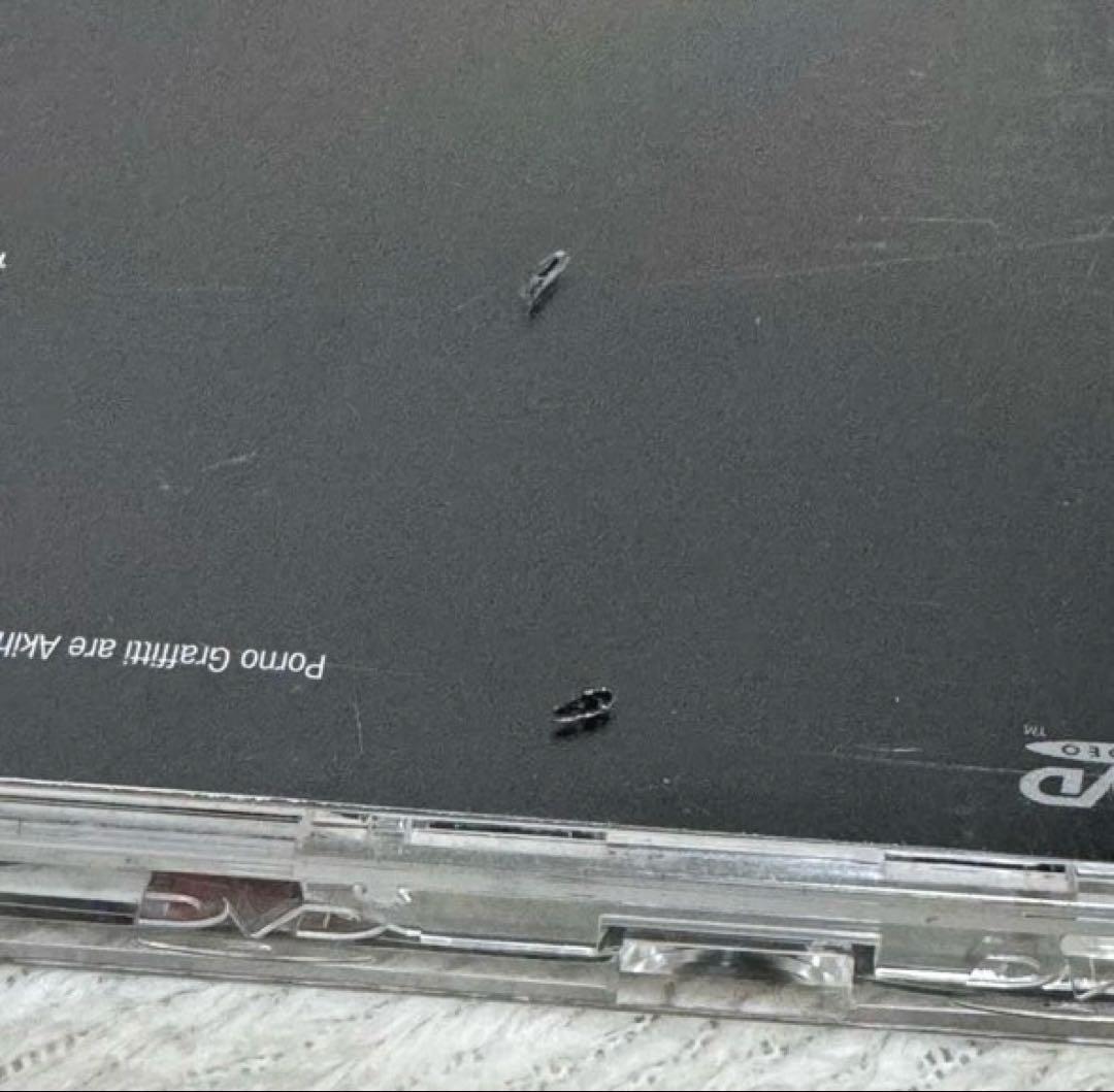 ポルノグラフィティ ライブDVD5本＆ビデオクリップ4本セット 【2/22まで】