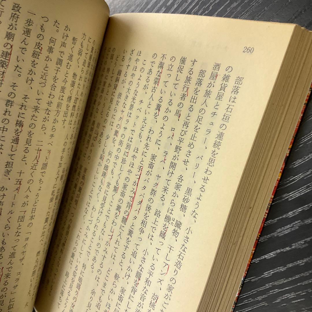 秘境西域八年の潜行 中巻