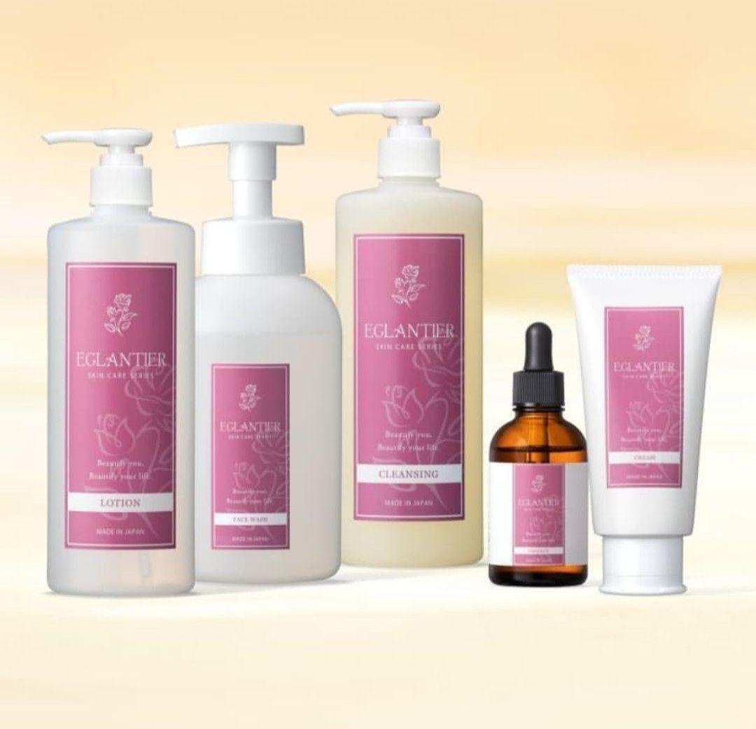 エグランティエリッシュクレンジング500ml ❤️2月7日迄お値下げ❤️