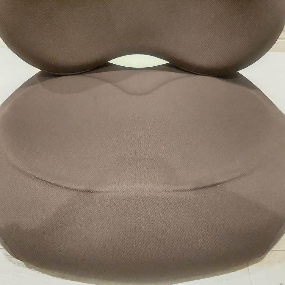 EXGEL(エクスジェル) / ハグカンフィ 骨盤 姿勢 サポートクッション